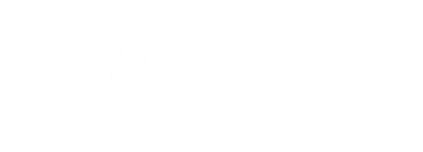 VAMELA